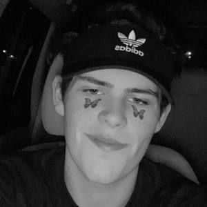 Meet your Posher, Dalton